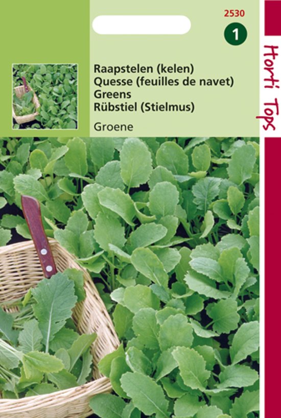 Raapsteel groene (Brassica) 4500 zaden